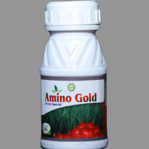 Amino Gold (Onion Special)