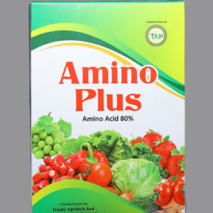 Amino Plus (Amino Acid 80%)