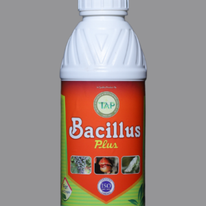 Bacillus Plus